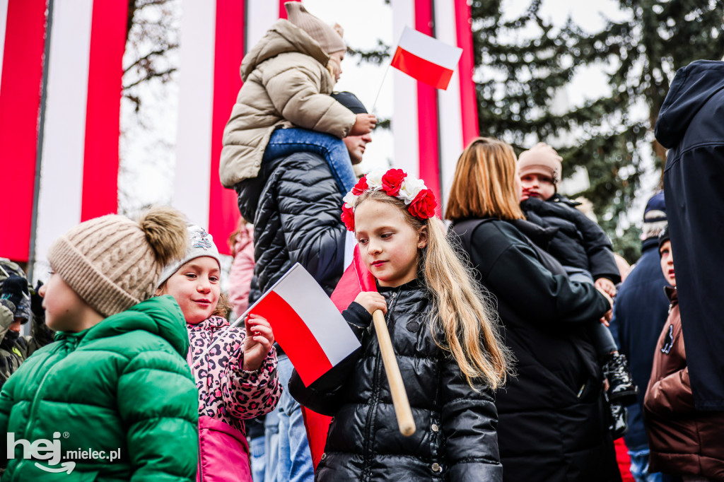 Święto Niepodległości - uroczystości pod Pomnikiem Wolności