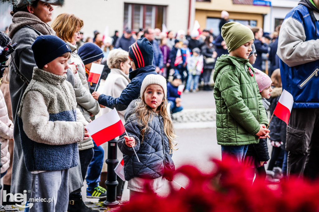 Święto Niepodległości - uroczystości pod Pomnikiem Wolności