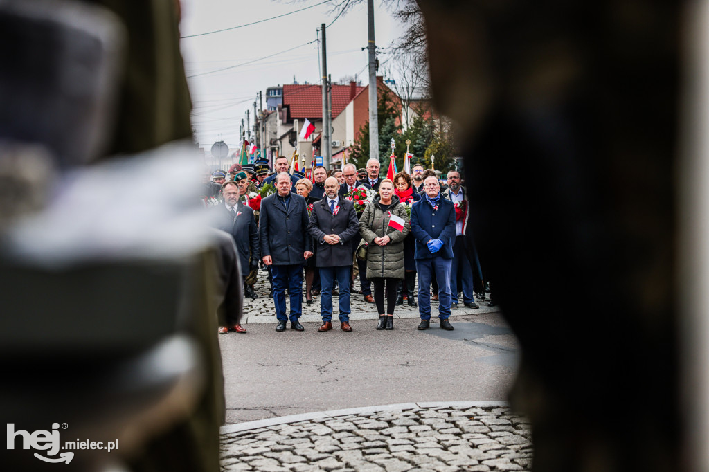 Święto Niepodległości - uroczystości pod Pomnikiem Wolności