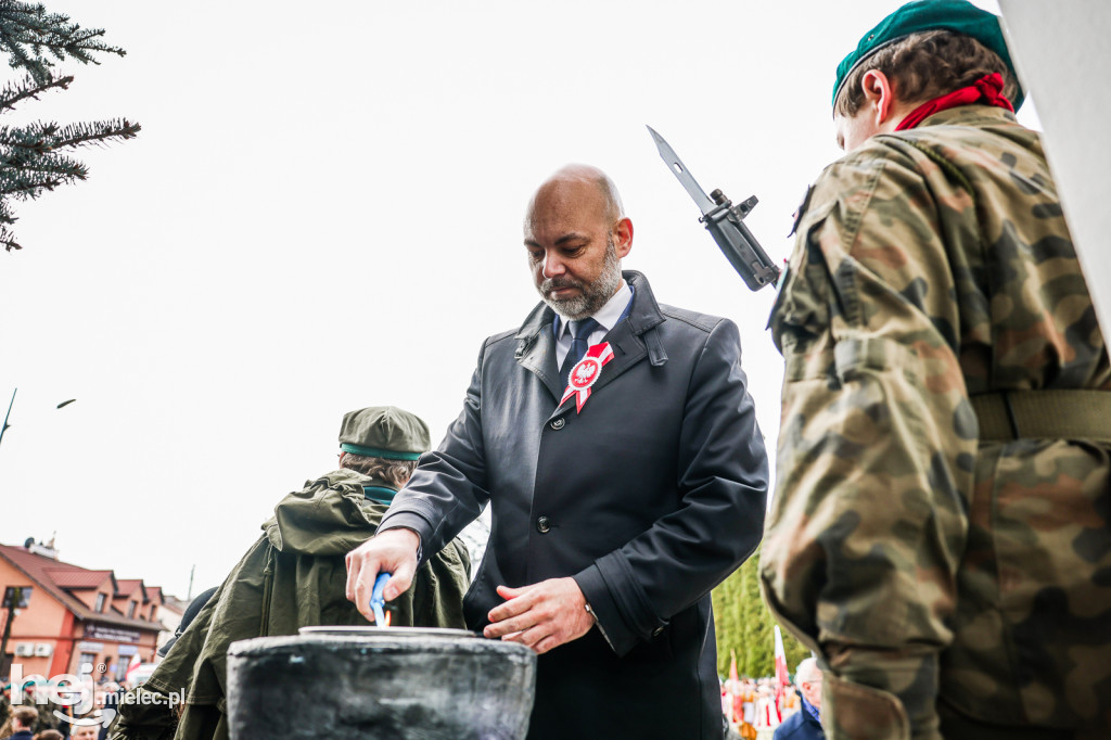 Święto Niepodległości - uroczystości pod Pomnikiem Wolności