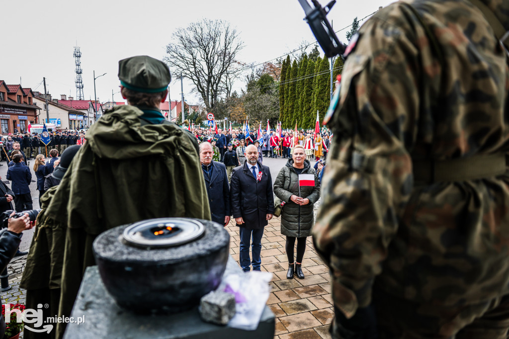 Święto Niepodległości - uroczystości pod Pomnikiem Wolności