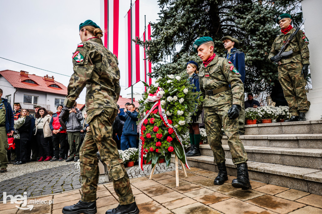 Święto Niepodległości - uroczystości pod Pomnikiem Wolności