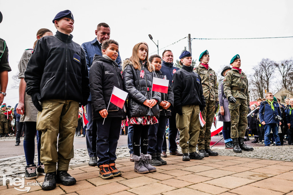 Święto Niepodległości - uroczystości pod Pomnikiem Wolności