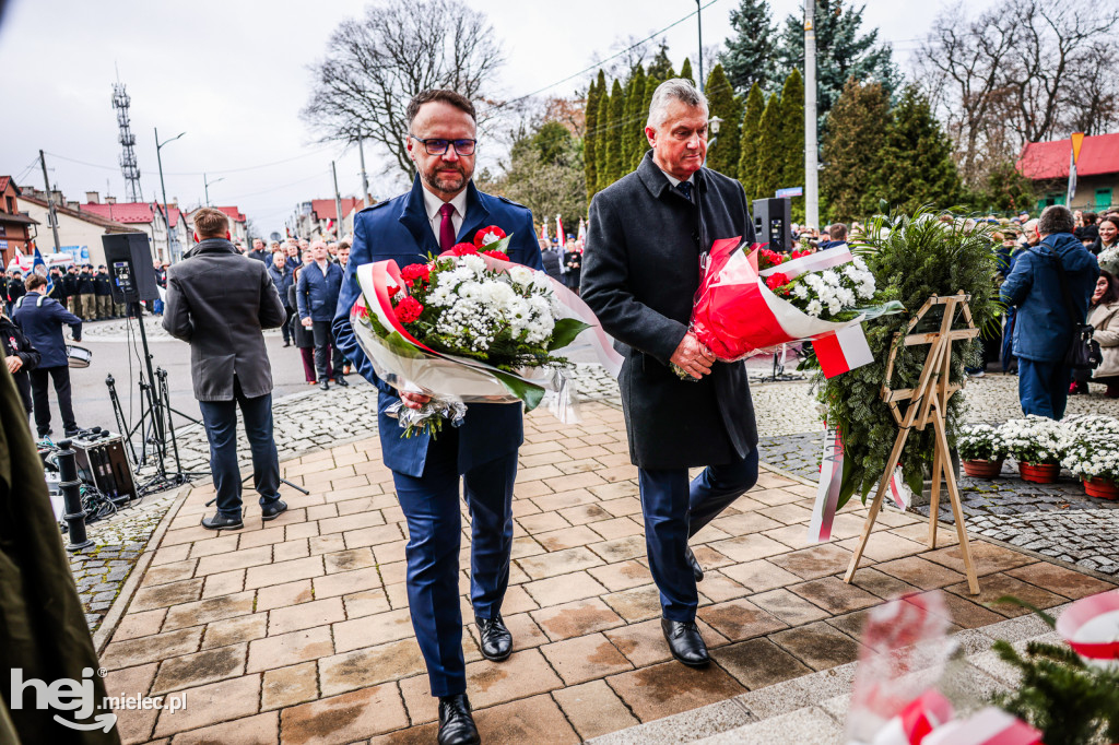 Święto Niepodległości - uroczystości pod Pomnikiem Wolności