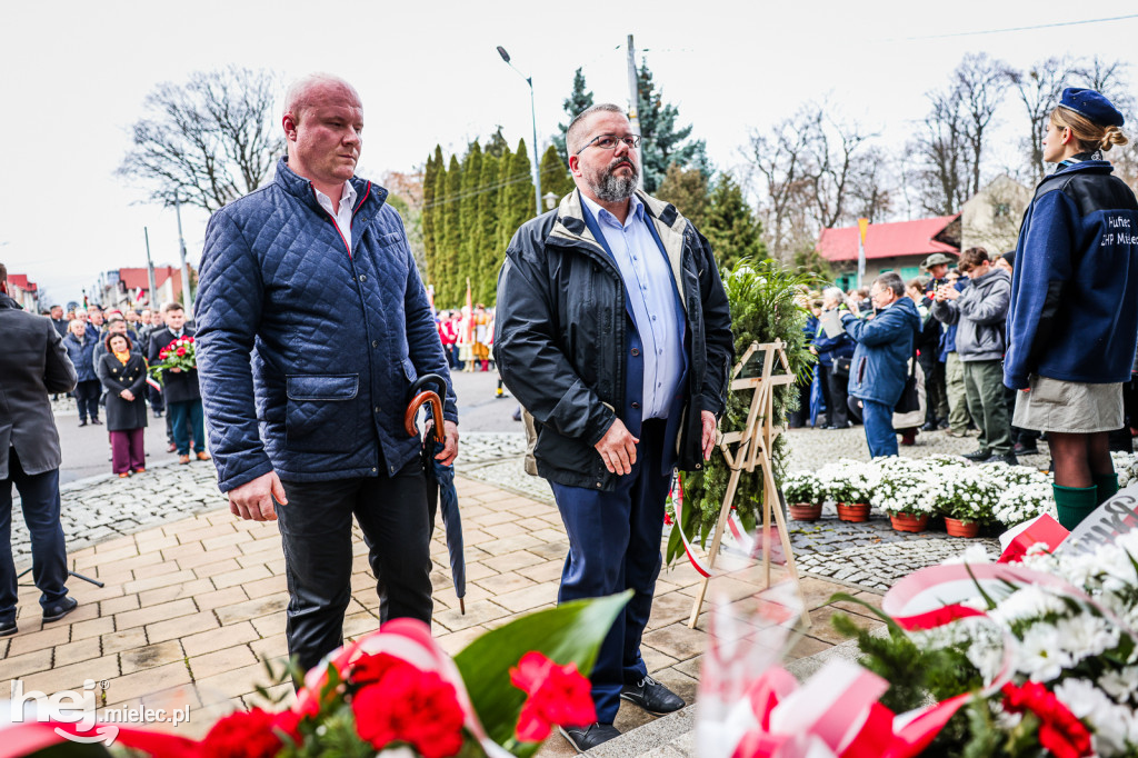 Święto Niepodległości - uroczystości pod Pomnikiem Wolności