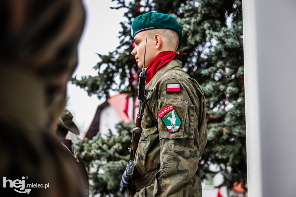 Święto Niepodległości - uroczystości pod Pomnikiem Wolności