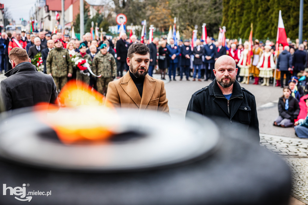 Święto Niepodległości - uroczystości pod Pomnikiem Wolności