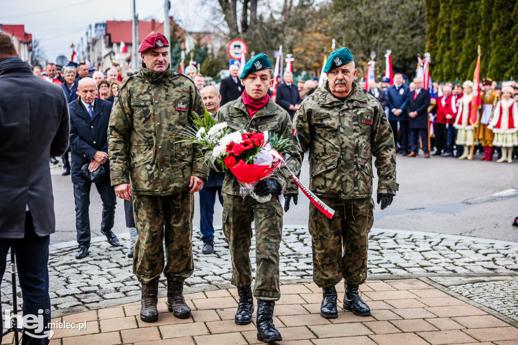 Święto Niepodległości - uroczystości pod Pomnikiem Wolności