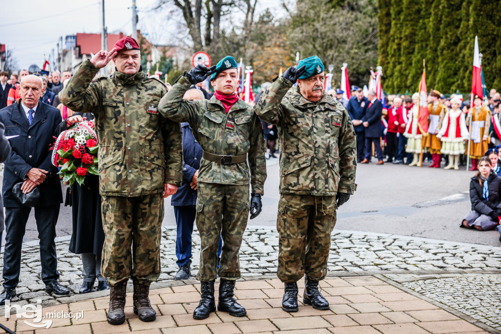 Święto Niepodległości - uroczystości pod Pomnikiem Wolności