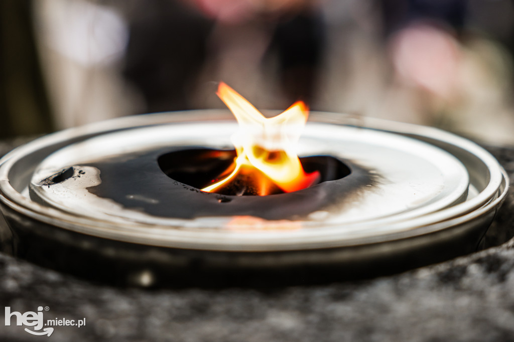 Święto Niepodległości - uroczystości pod Pomnikiem Wolności