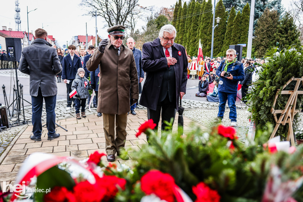 Święto Niepodległości - uroczystości pod Pomnikiem Wolności