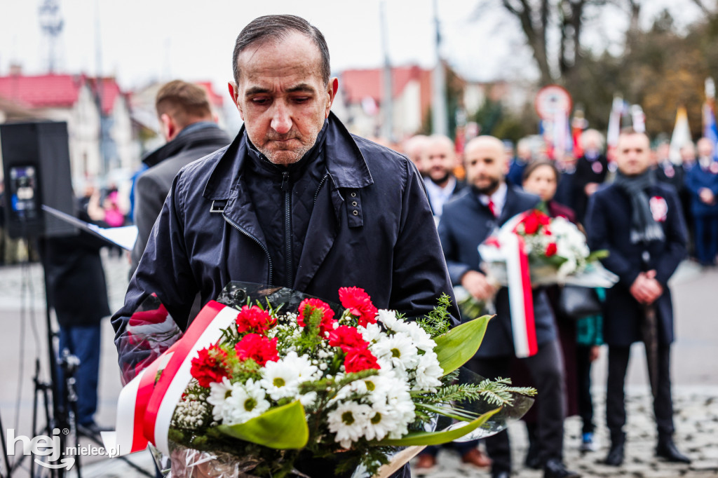 Święto Niepodległości - uroczystości pod Pomnikiem Wolności