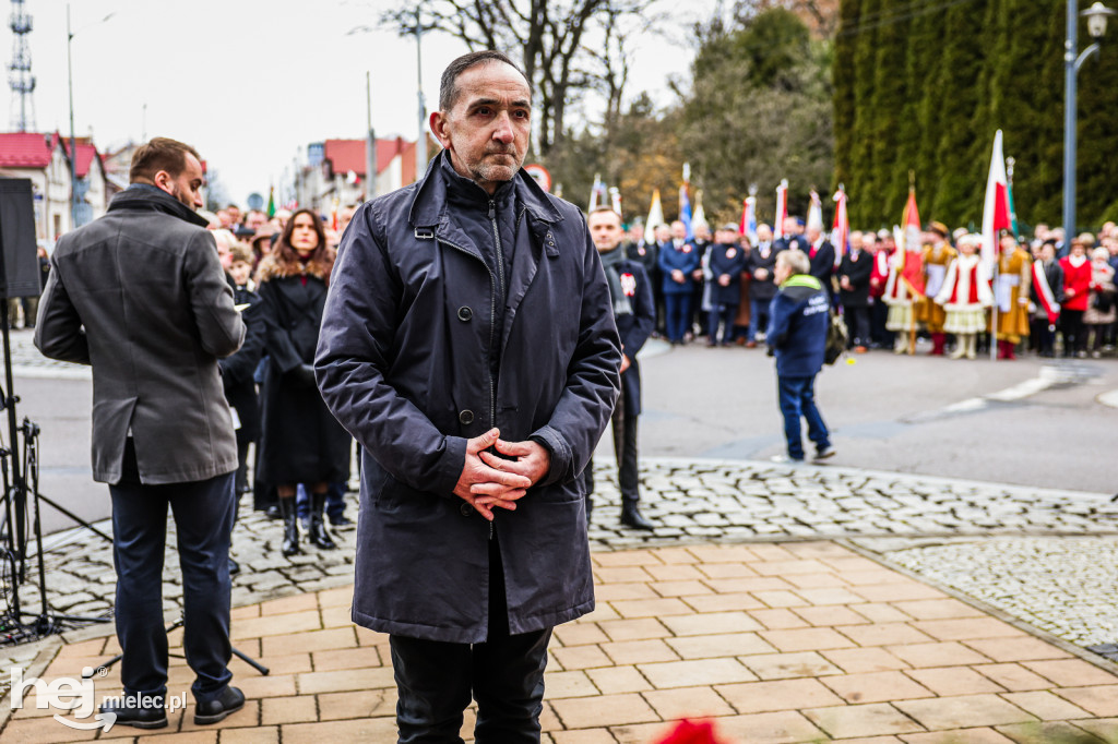 Święto Niepodległości - uroczystości pod Pomnikiem Wolności