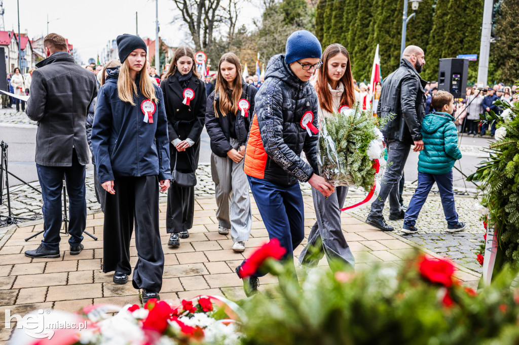 Święto Niepodległości - uroczystości pod Pomnikiem Wolności
