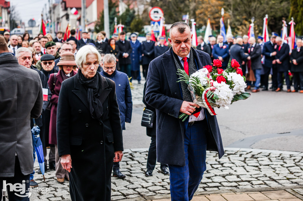 Święto Niepodległości - uroczystości pod Pomnikiem Wolności