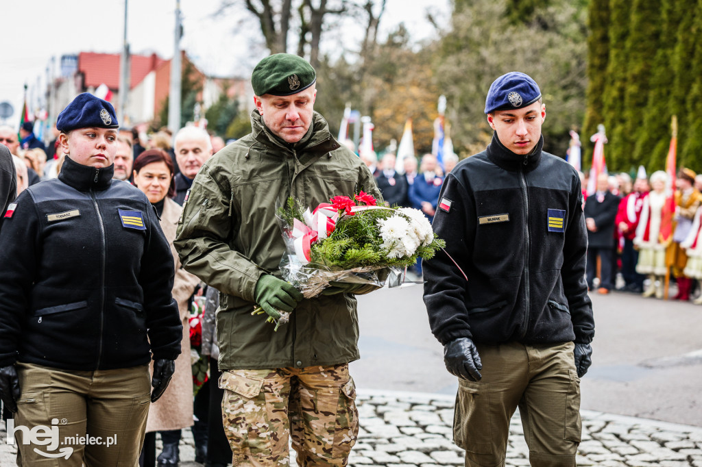 Święto Niepodległości - uroczystości pod Pomnikiem Wolności