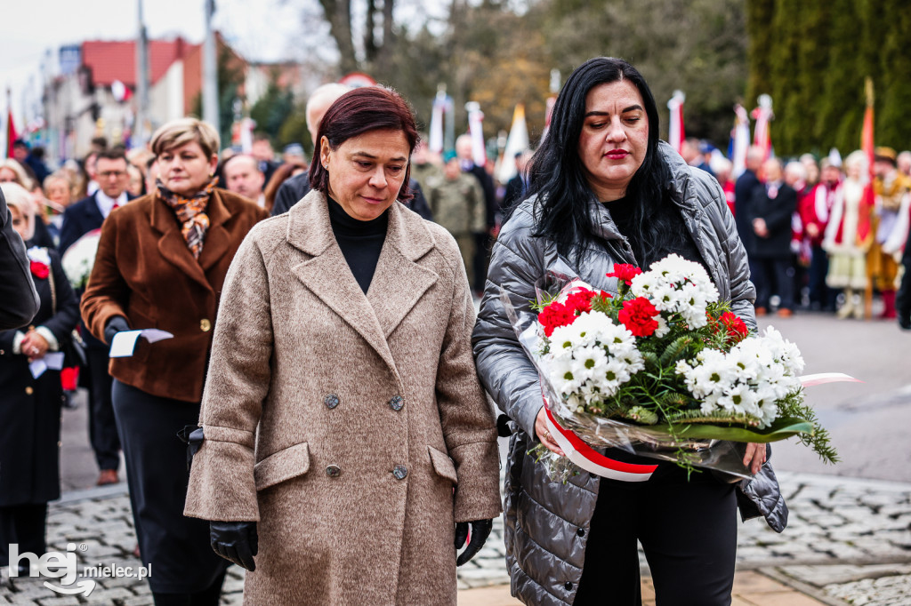 Święto Niepodległości - uroczystości pod Pomnikiem Wolności