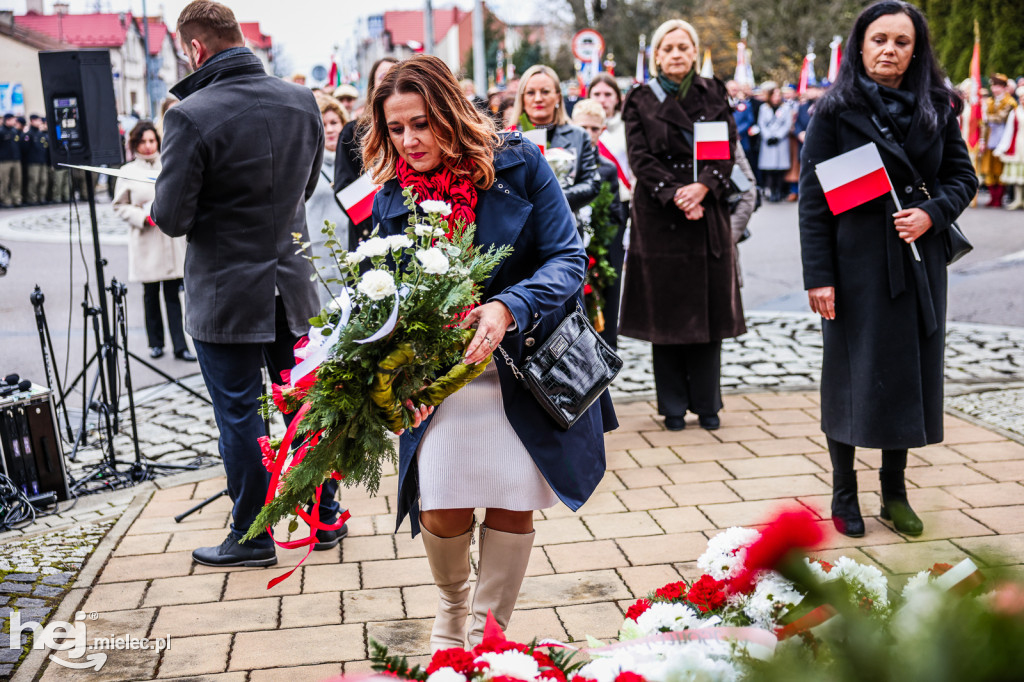 Święto Niepodległości - uroczystości pod Pomnikiem Wolności