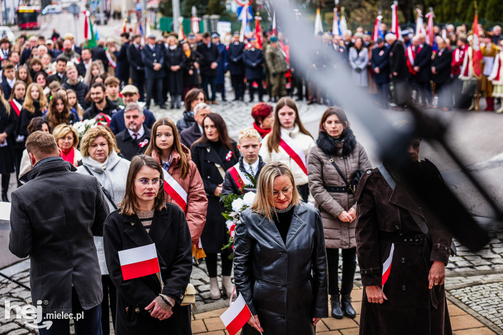Święto Niepodległości - uroczystości pod Pomnikiem Wolności