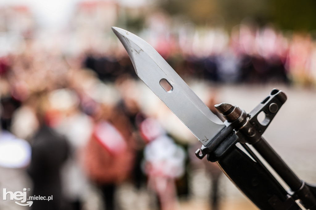 Święto Niepodległości - uroczystości pod Pomnikiem Wolności