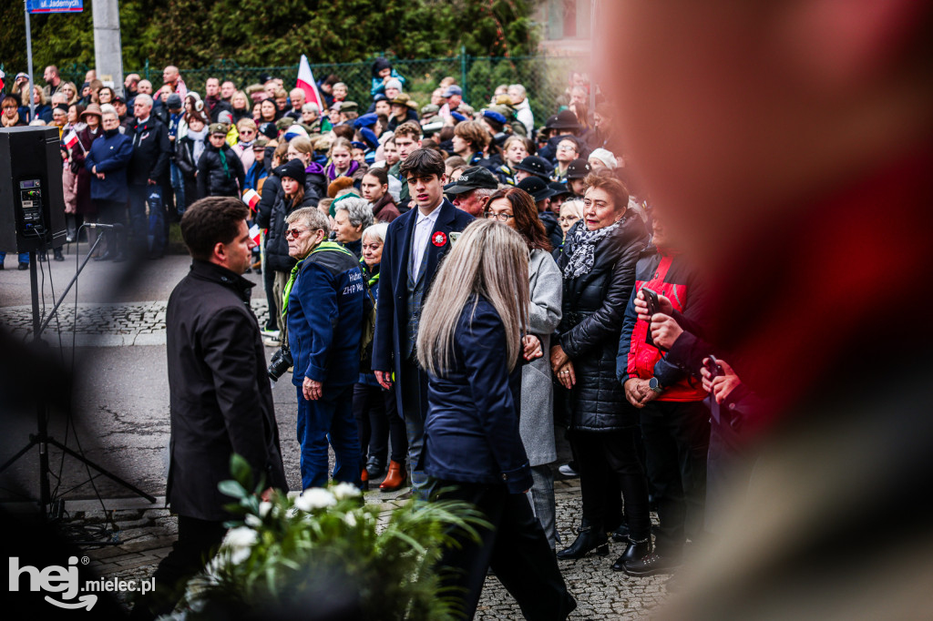 Święto Niepodległości - uroczystości pod Pomnikiem Wolności