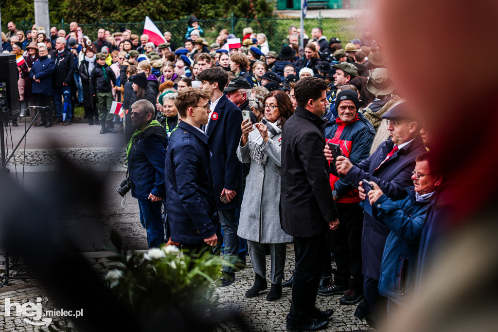 Święto Niepodległości - uroczystości pod Pomnikiem Wolności