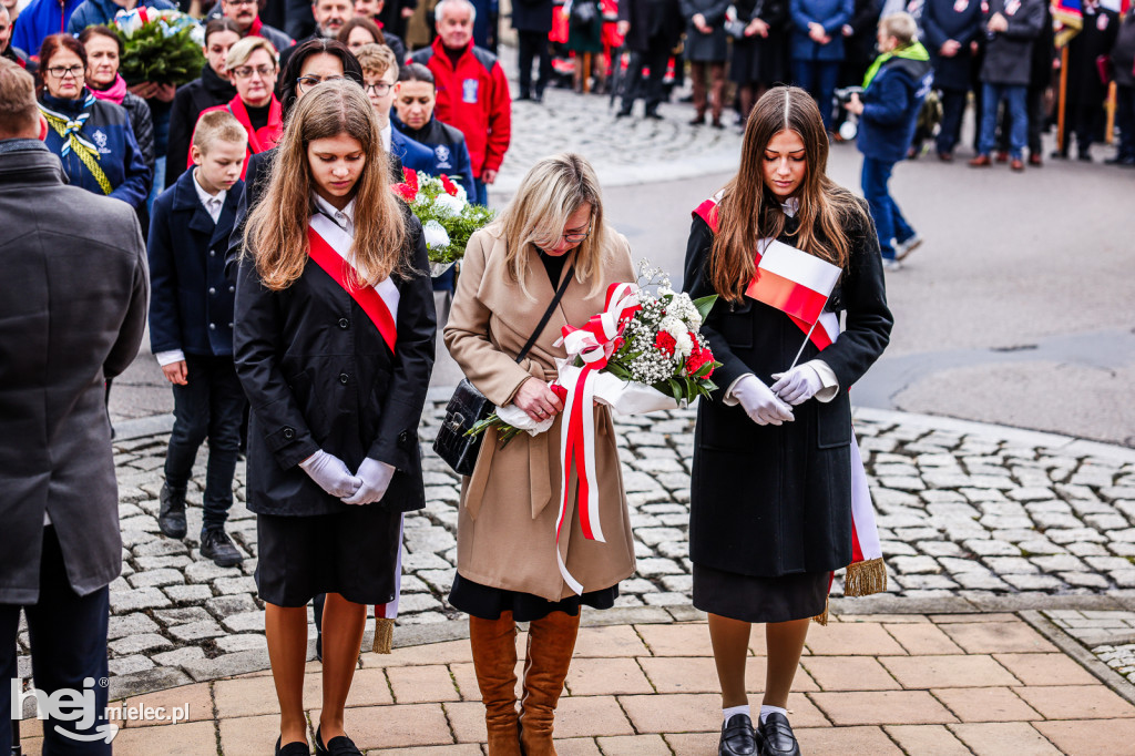 Święto Niepodległości - uroczystości pod Pomnikiem Wolności