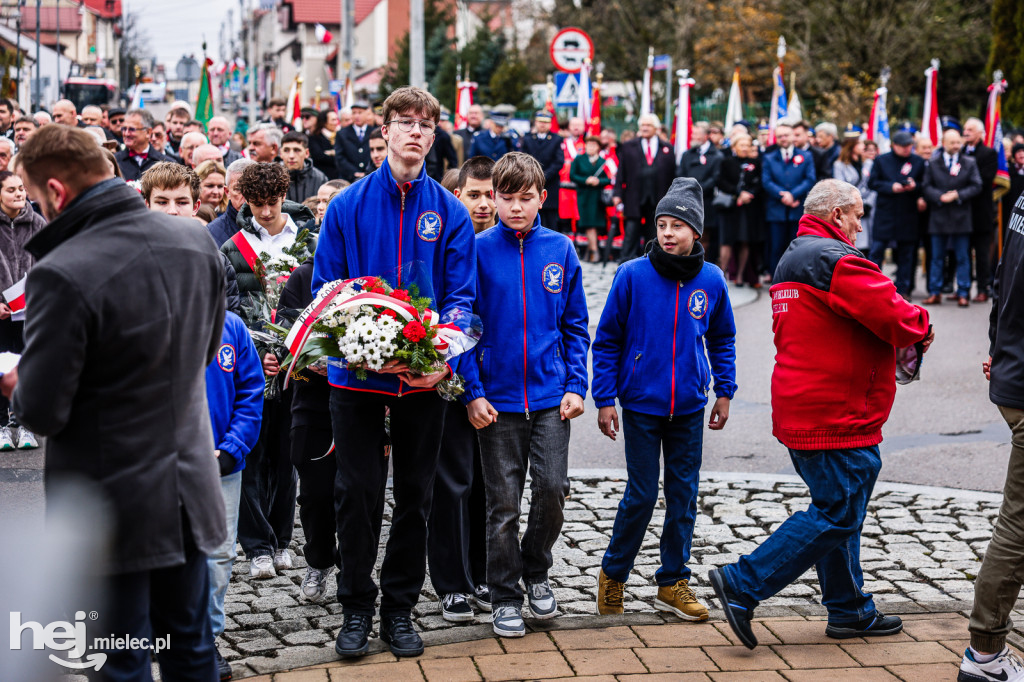 Święto Niepodległości - uroczystości pod Pomnikiem Wolności