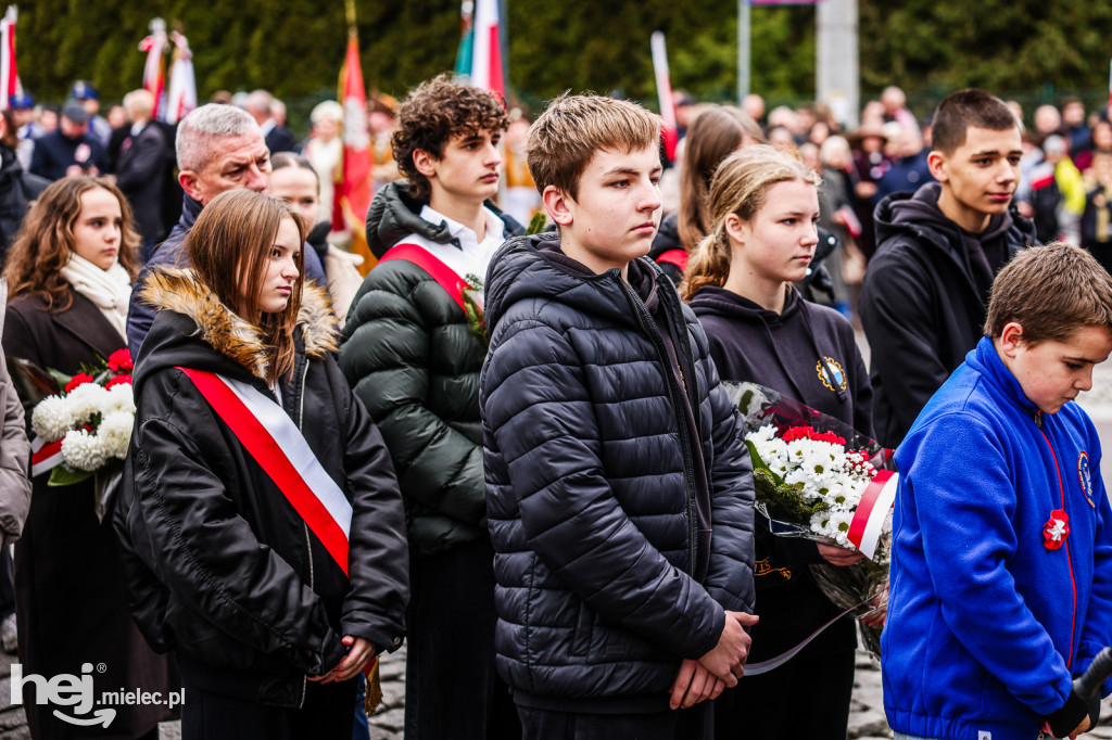 Święto Niepodległości - uroczystości pod Pomnikiem Wolności