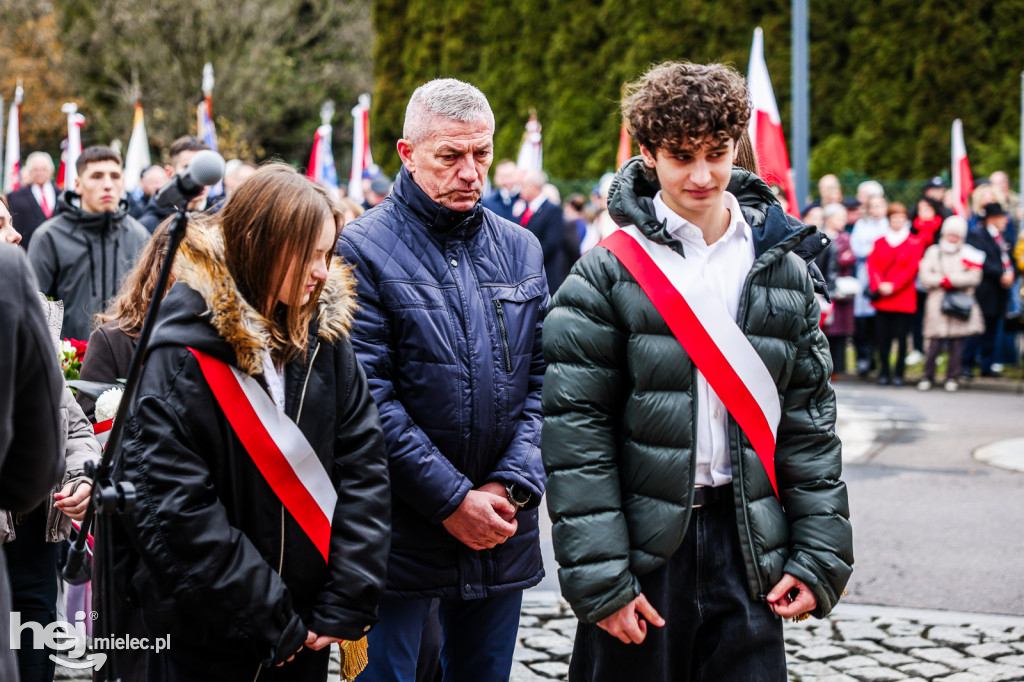 Święto Niepodległości - uroczystości pod Pomnikiem Wolności