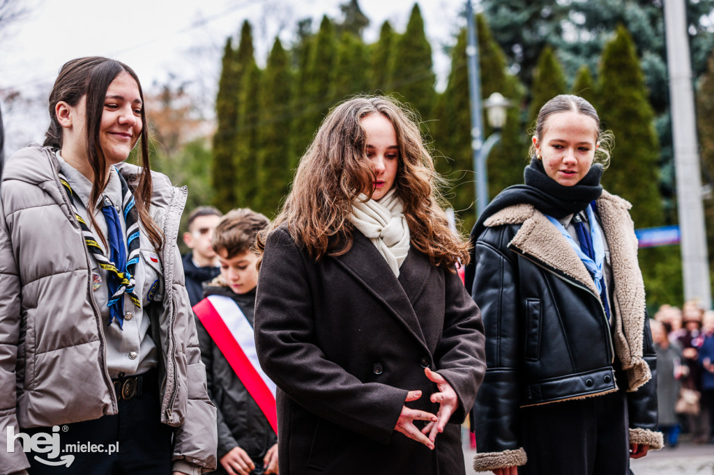 Święto Niepodległości - uroczystości pod Pomnikiem Wolności