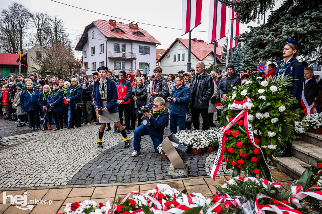 Święto Niepodległości - uroczystości pod Pomnikiem Wolności