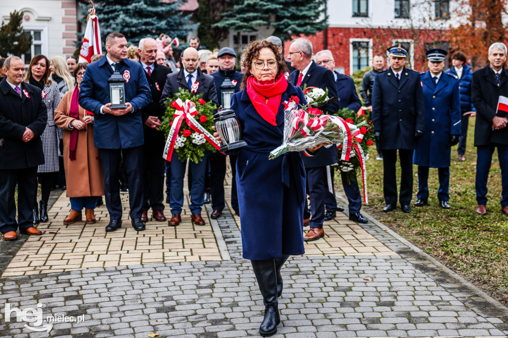 Święto Niepodległości - w Parku Stulecia Harcerstwa