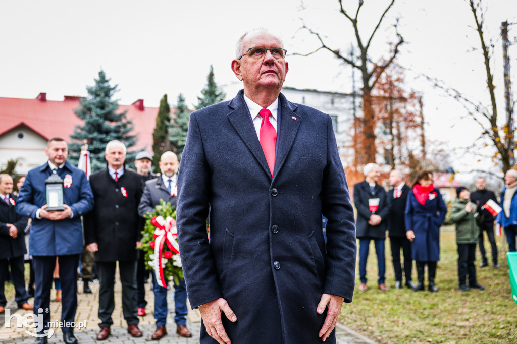 Święto Niepodległości - w Parku Stulecia Harcerstwa