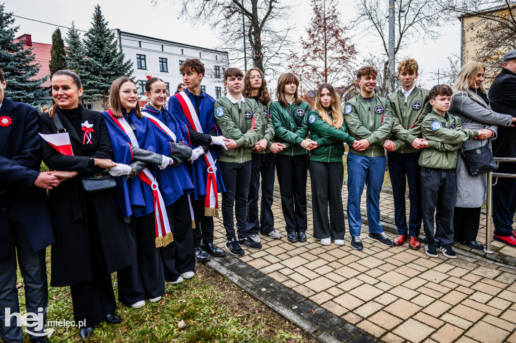 Święto Niepodległości - w Parku Stulecia Harcerstwa