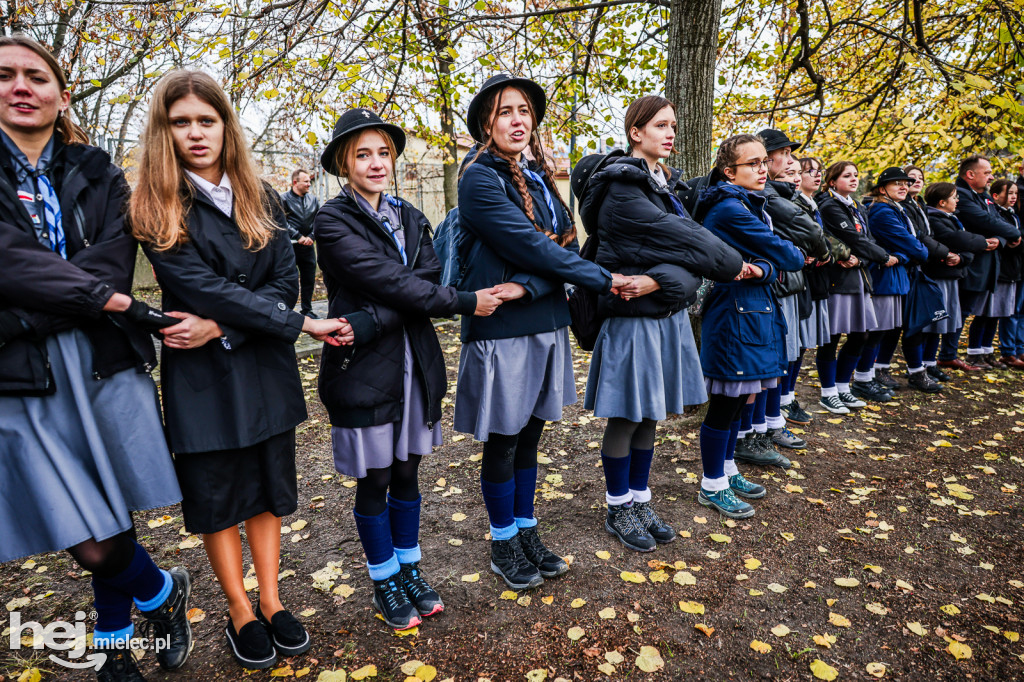 Święto Niepodległości - w Parku Stulecia Harcerstwa
