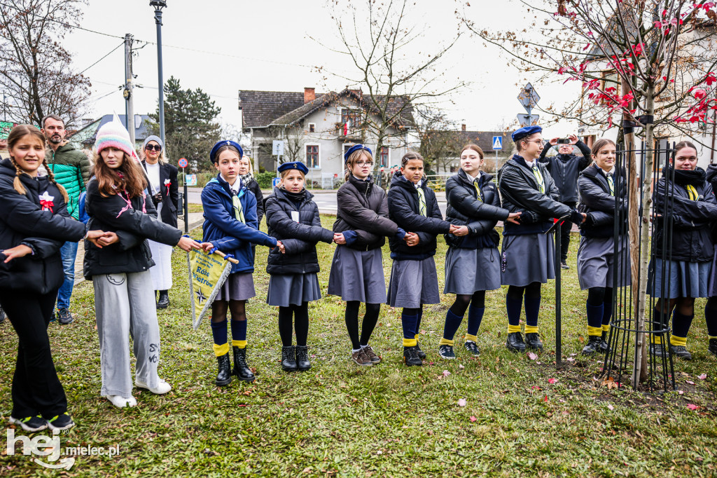 Święto Niepodległości - w Parku Stulecia Harcerstwa