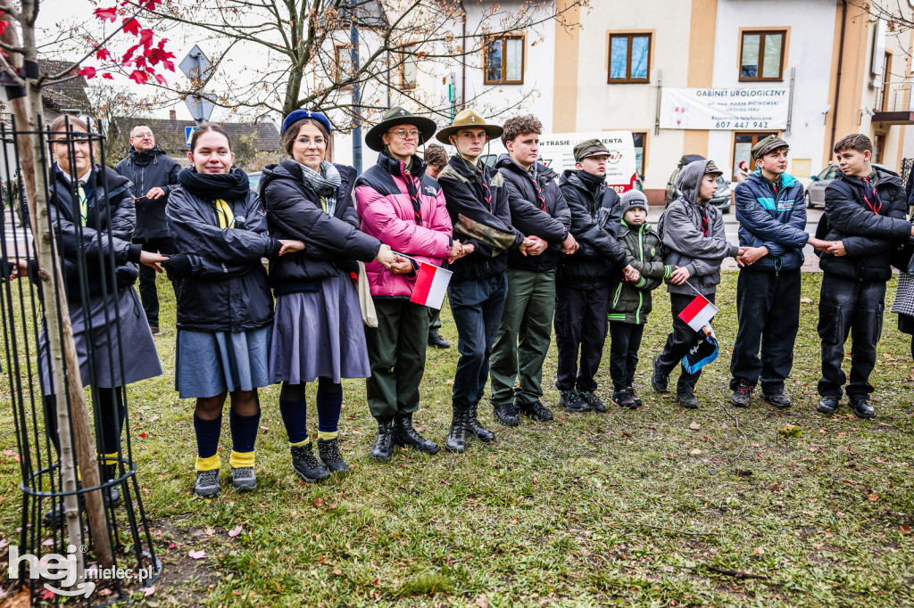 Święto Niepodległości - w Parku Stulecia Harcerstwa