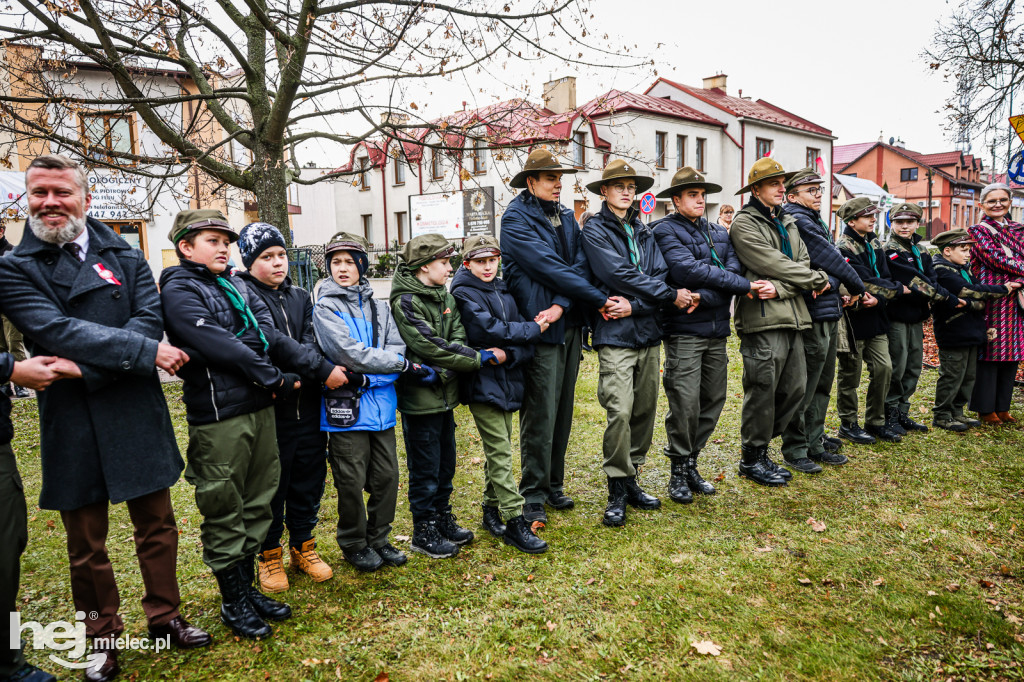 Święto Niepodległości - w Parku Stulecia Harcerstwa