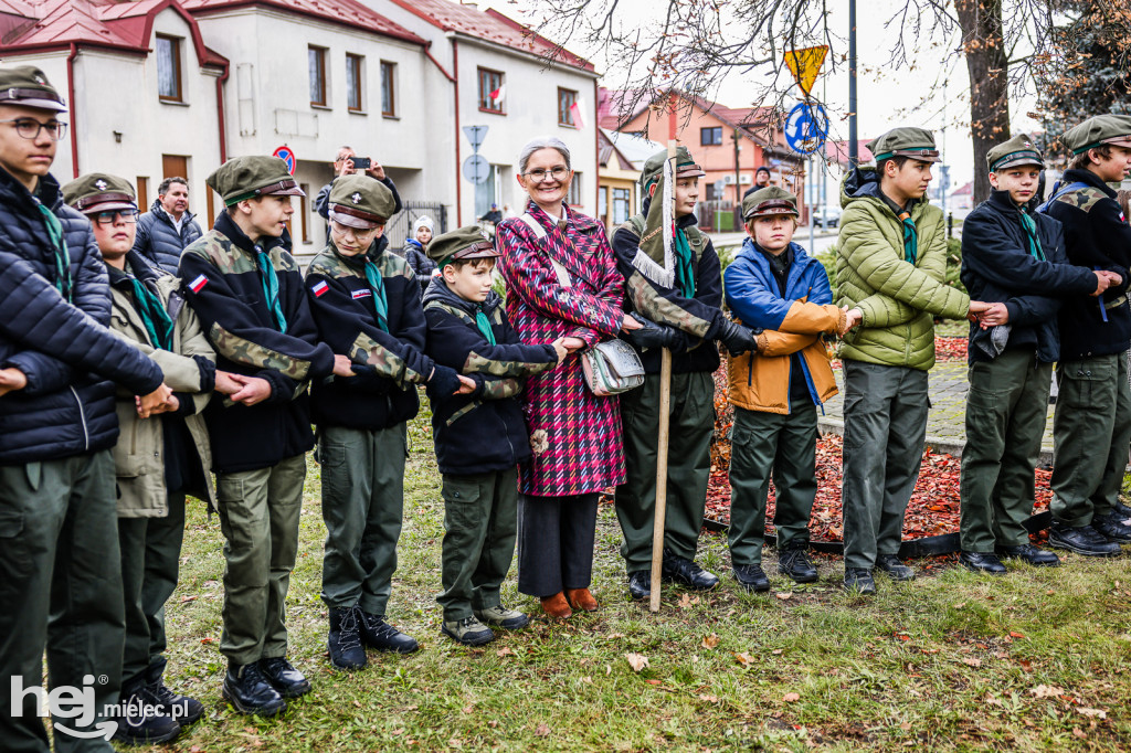 Święto Niepodległości - w Parku Stulecia Harcerstwa