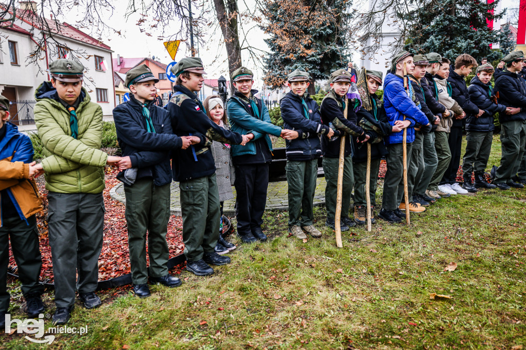 Święto Niepodległości - w Parku Stulecia Harcerstwa
