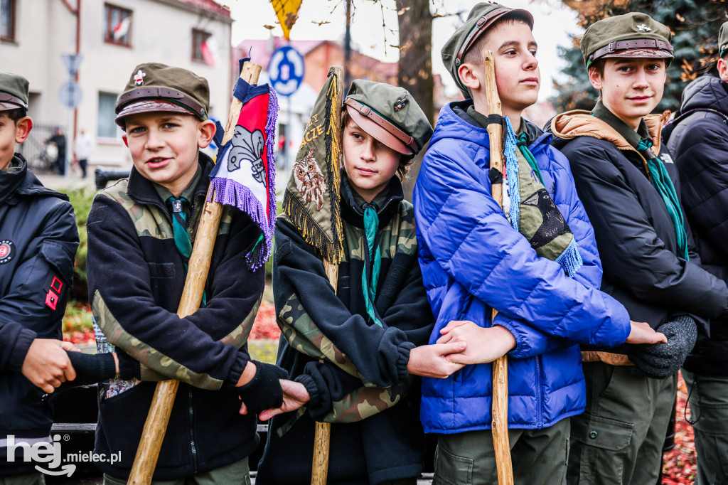 Święto Niepodległości - w Parku Stulecia Harcerstwa