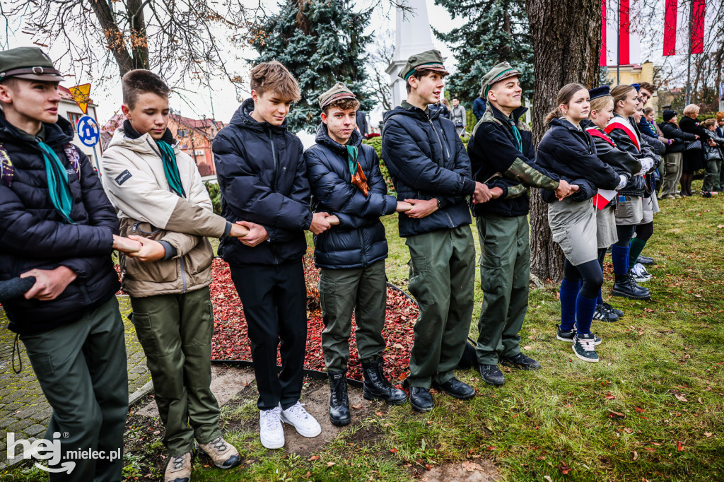 Święto Niepodległości - w Parku Stulecia Harcerstwa