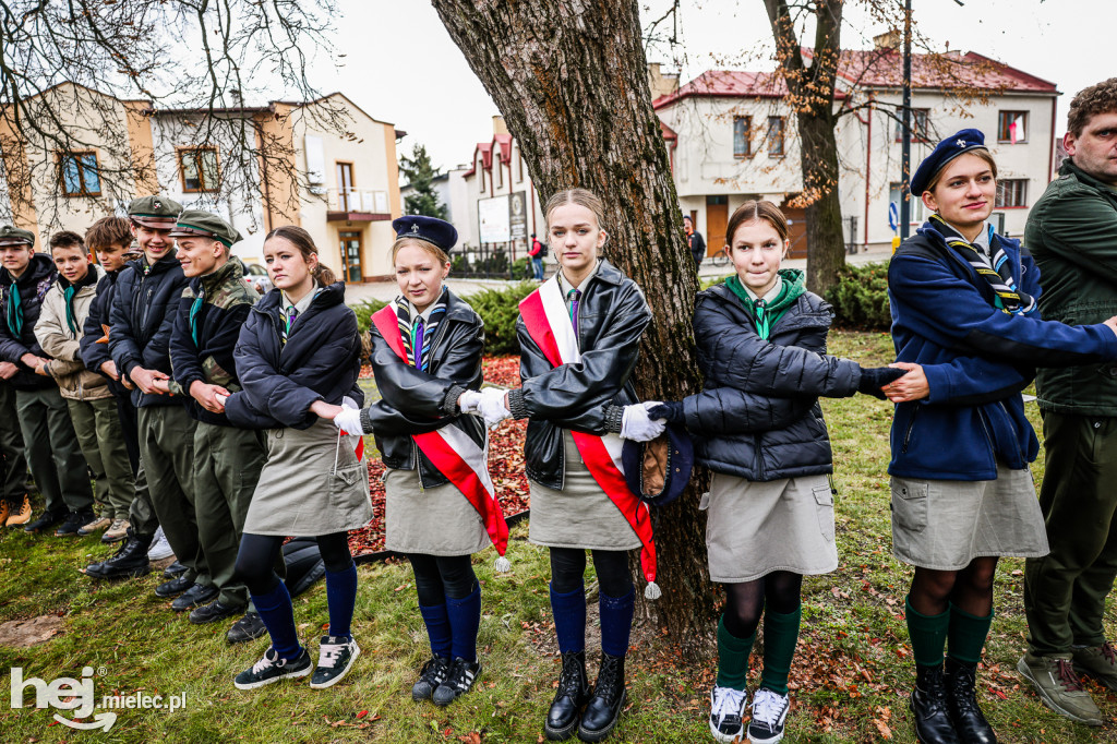 Święto Niepodległości - w Parku Stulecia Harcerstwa