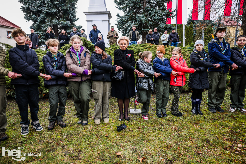 Święto Niepodległości - w Parku Stulecia Harcerstwa