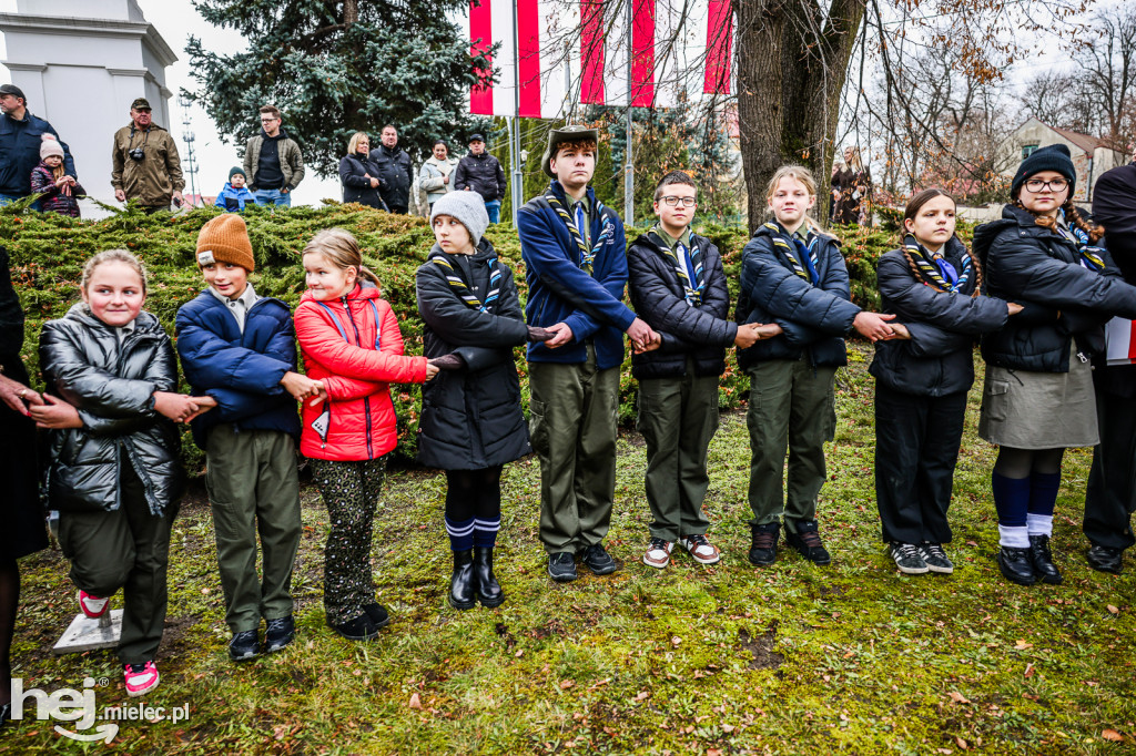 Święto Niepodległości - w Parku Stulecia Harcerstwa