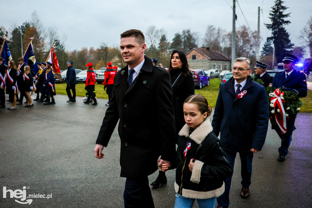 Święto Niepodległości w Wierzchowinach