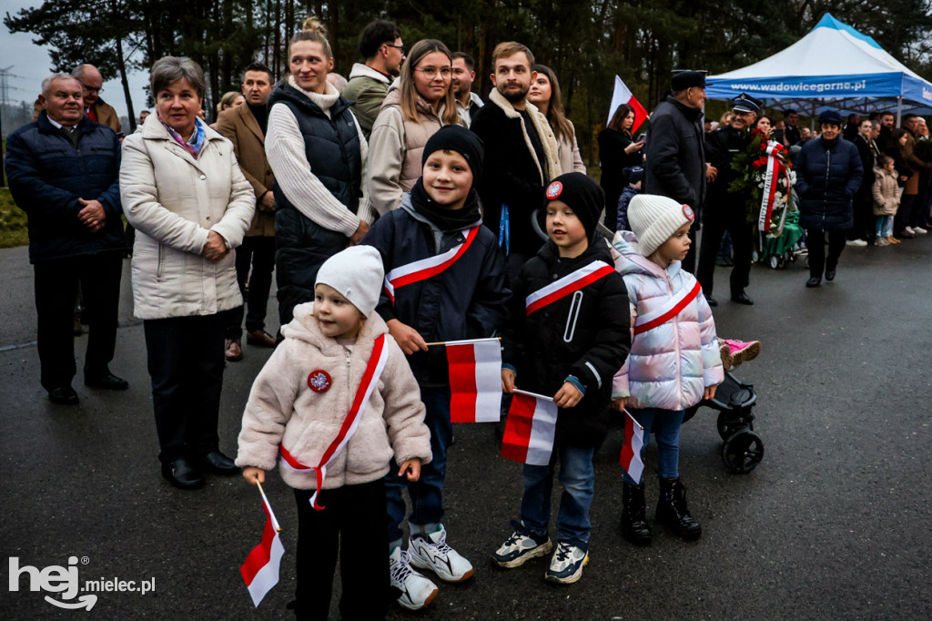 Święto Niepodległości w Wierzchowinach