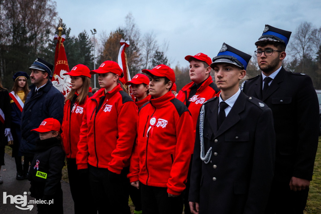 Święto Niepodległości w Wierzchowinach