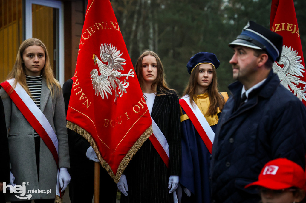 Święto Niepodległości w Wierzchowinach